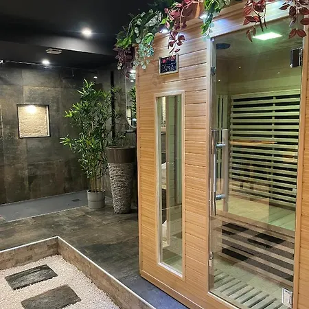 Apartmán & Exotic - Balneo - Sauna - Parking Clermont-Ferrand