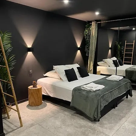 Spa&love Exotic - Balnéo - Sauna - Parking Appartamento *