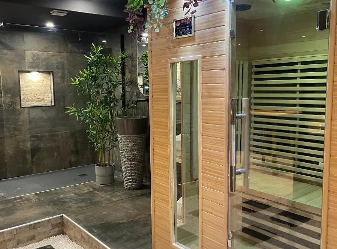 아파트 & Exotic - Balneo - Sauna - Parking 클레르몽페랑